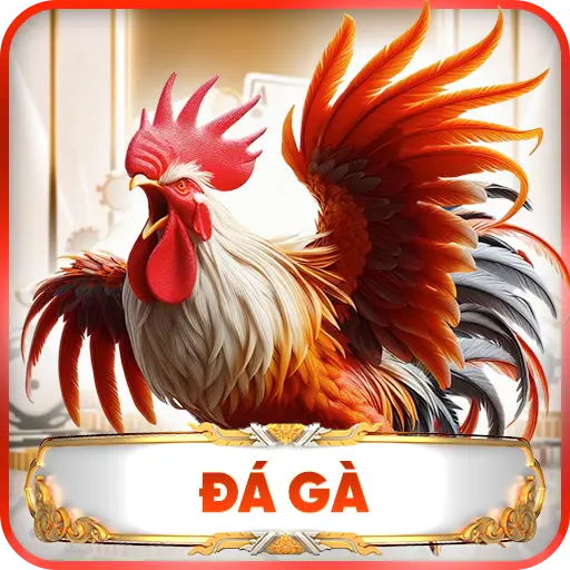 Đá Gà QH88